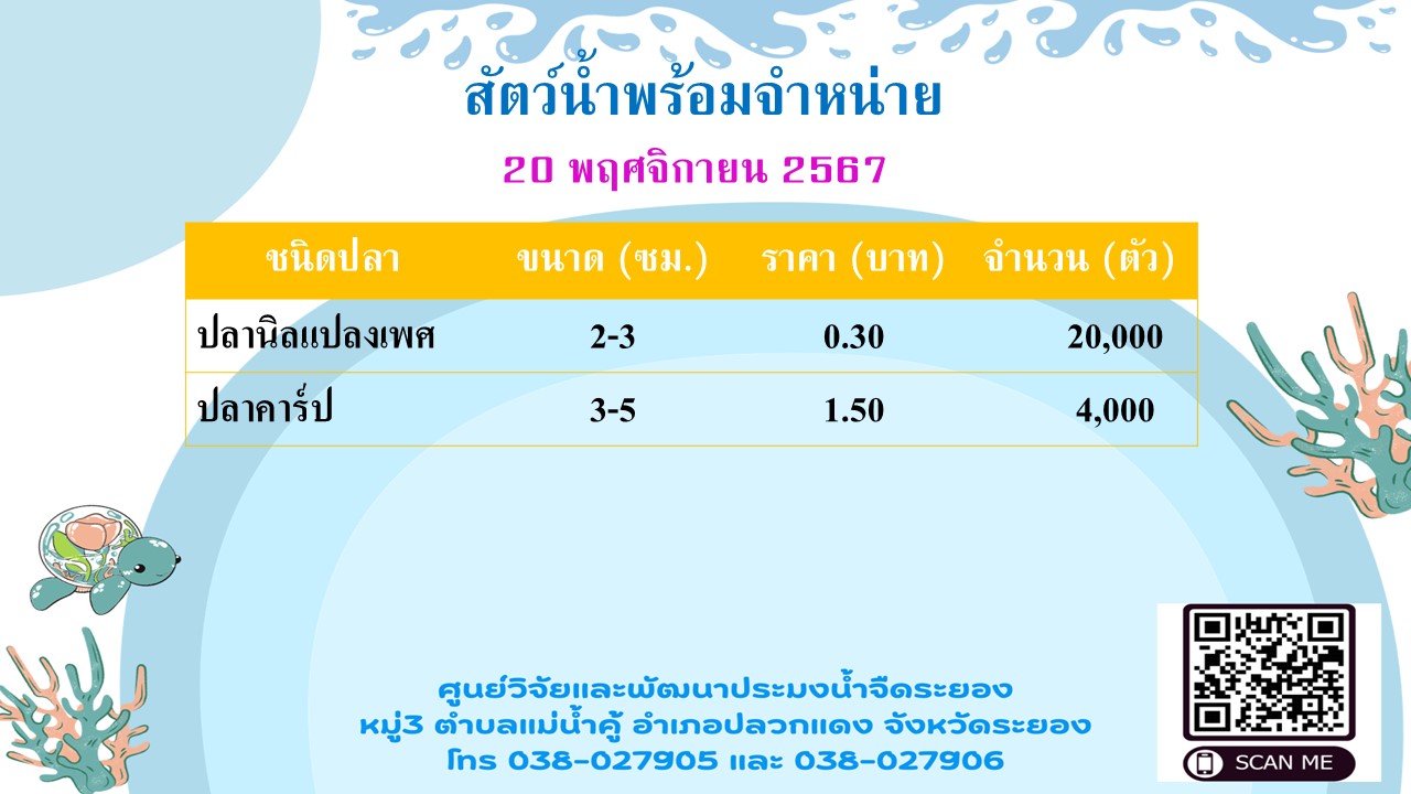 สัตว์น้ำพร้อมจำหน่าย วันที่ 20 พฤศจิกายน 2567..คลิก