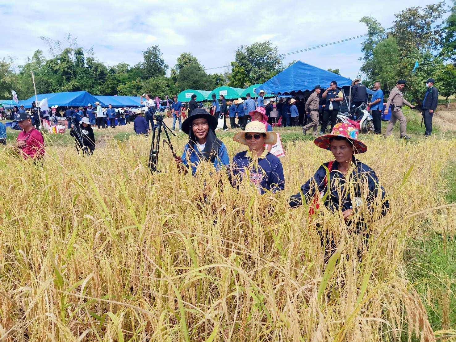 “ประมงอำเภอเดชอุดม ร่วมกิจกรรมลงแขกเกี่ยวข้าวตามประเพณี ถ่ายทอดเทคโนโลยีการเก็บเกี่ยวข้าว ปี 2567” ..คลิก