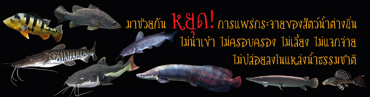 การเผยแพร่สื่อประชาสัมพันธ์เกี่ยวกับสัตว์น้ำต่างถิ่นและปลาหมอคางดำ