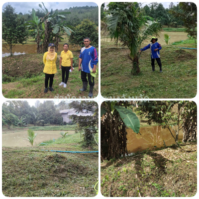 ผลการปฏิบัติงานประจำวันอังคารที่ 17 ธันวาคม 2567..คลิก