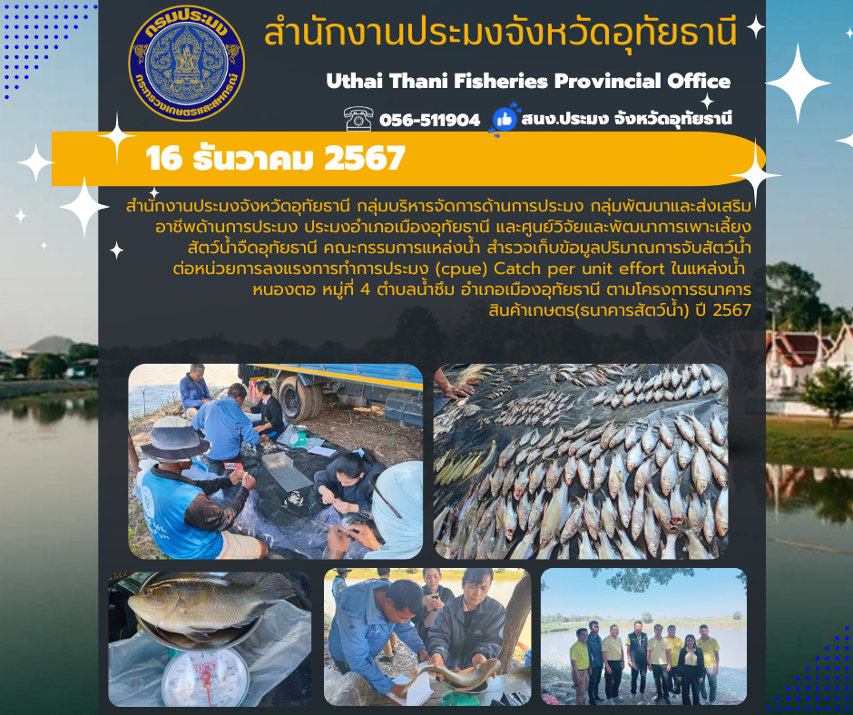 ประชาสัมพันธ์ ประจำเดือนธันวาคม 2567..คลิก