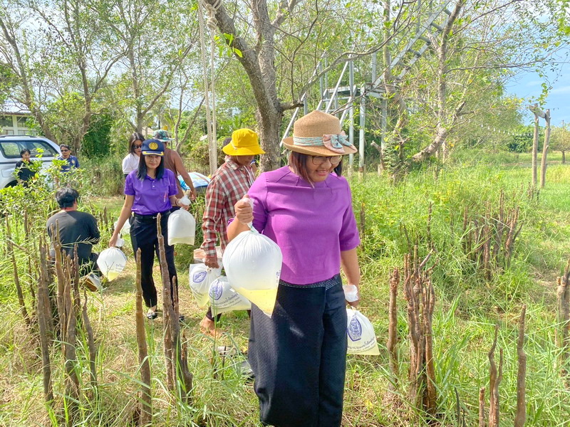 ร่วมปล่อยพันธุ์กุ้งก้ามกราม ลงสู่ทะเลสาบสงขลา อ.เมือง จ.พัทลุง..คลิก
