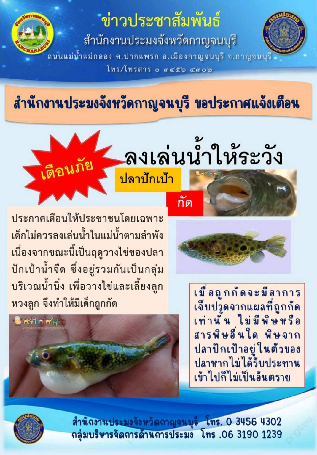 เตือนภัย ลงเล่นน้ำให้ระวังปลาปักเป้ากัด..คลิก