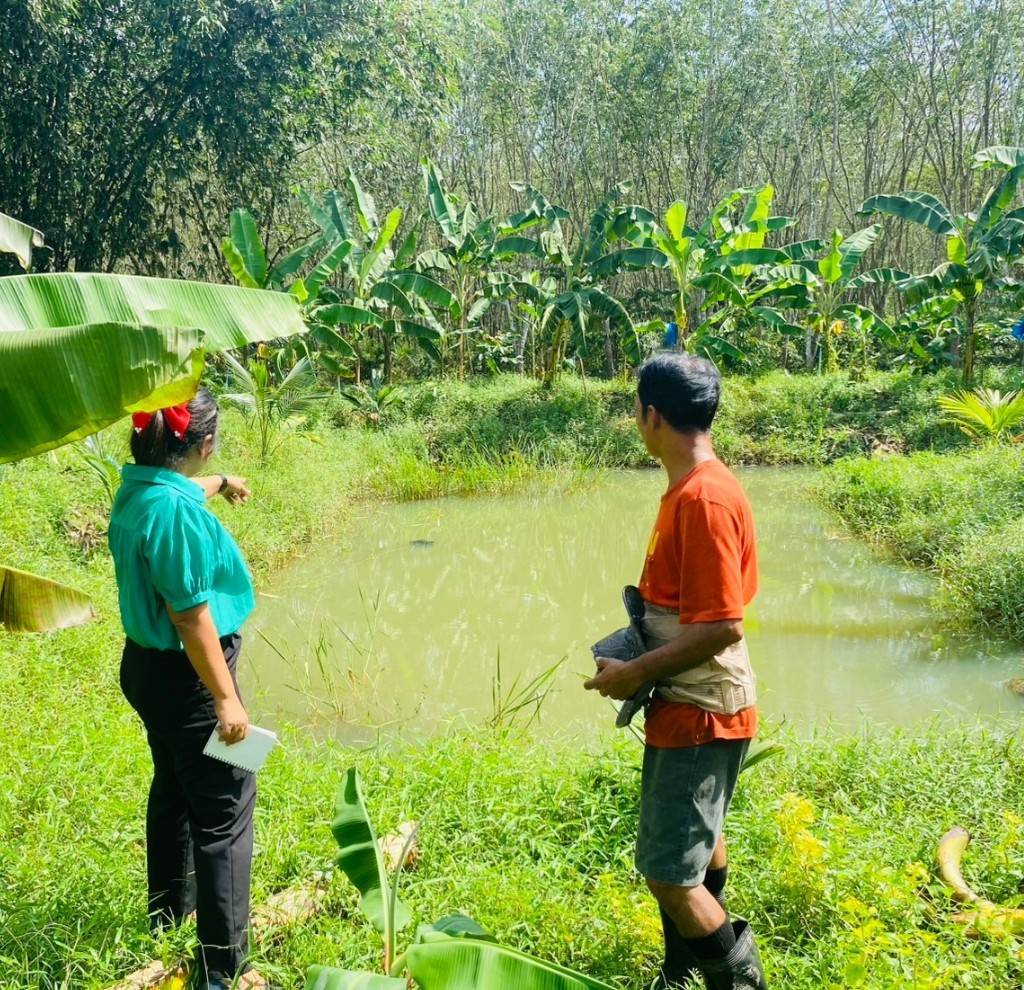 ประมงอำเภอบางแก้ว ร่วมกับผู้ใหญ่บ้าน ผู้ช่วยผู้ใหญ่บ้าน  ตรวจสอบความเสียหายเกษตรกรผู้ประสบอุทกภัยด้านประมง  พื้นที่อำเภอบางแก้ว จังหวัดพัทลุง