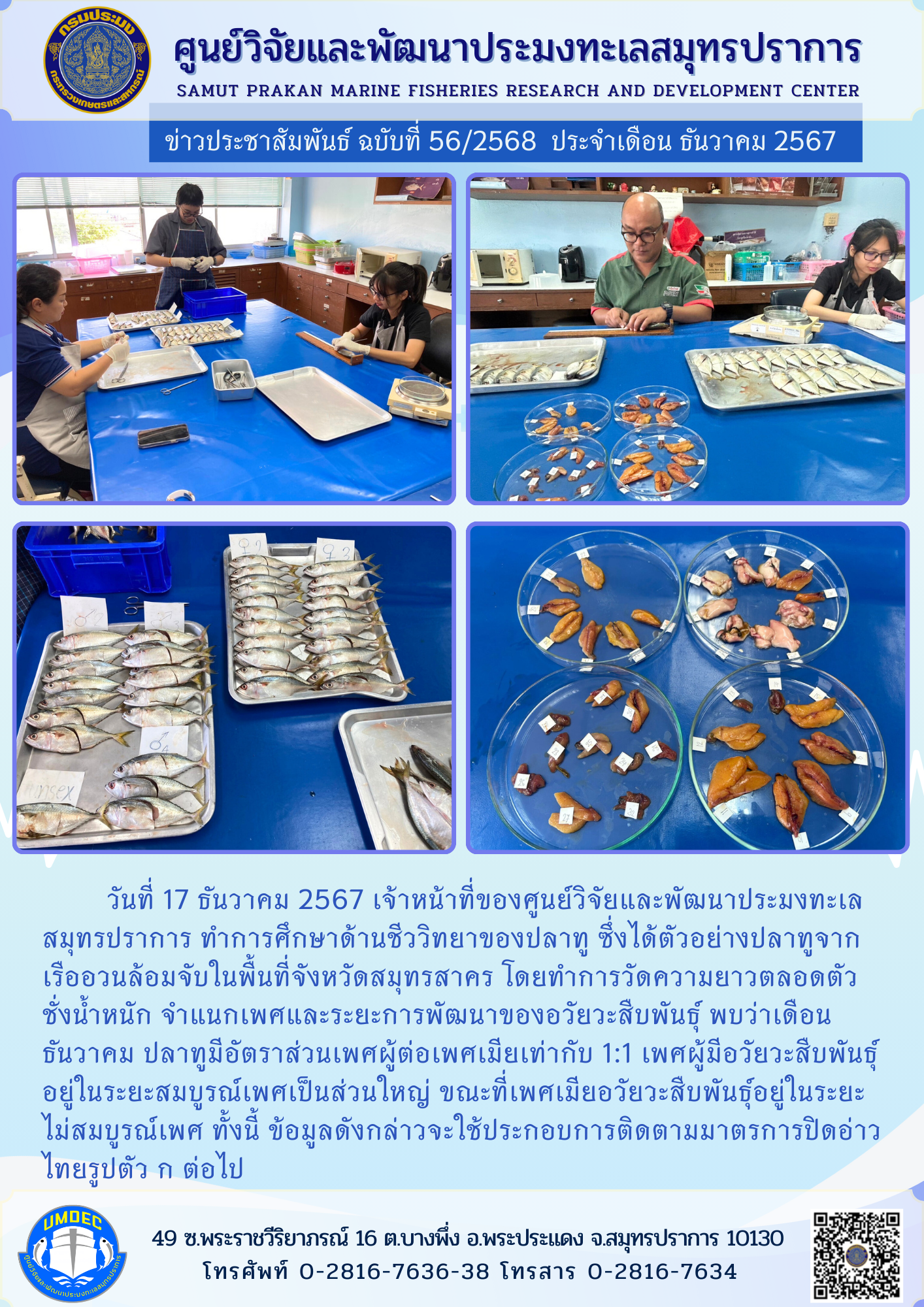 ศูนย์วิจัยและพัฒนาประมงทะเลสมุทรปราการ ทำการศึกษาด้านชีววิทยาของปลาทู ซึ่งได้ตัวอย่างปลาทูมาจากเรืออวนล้อมจับ..คลิก