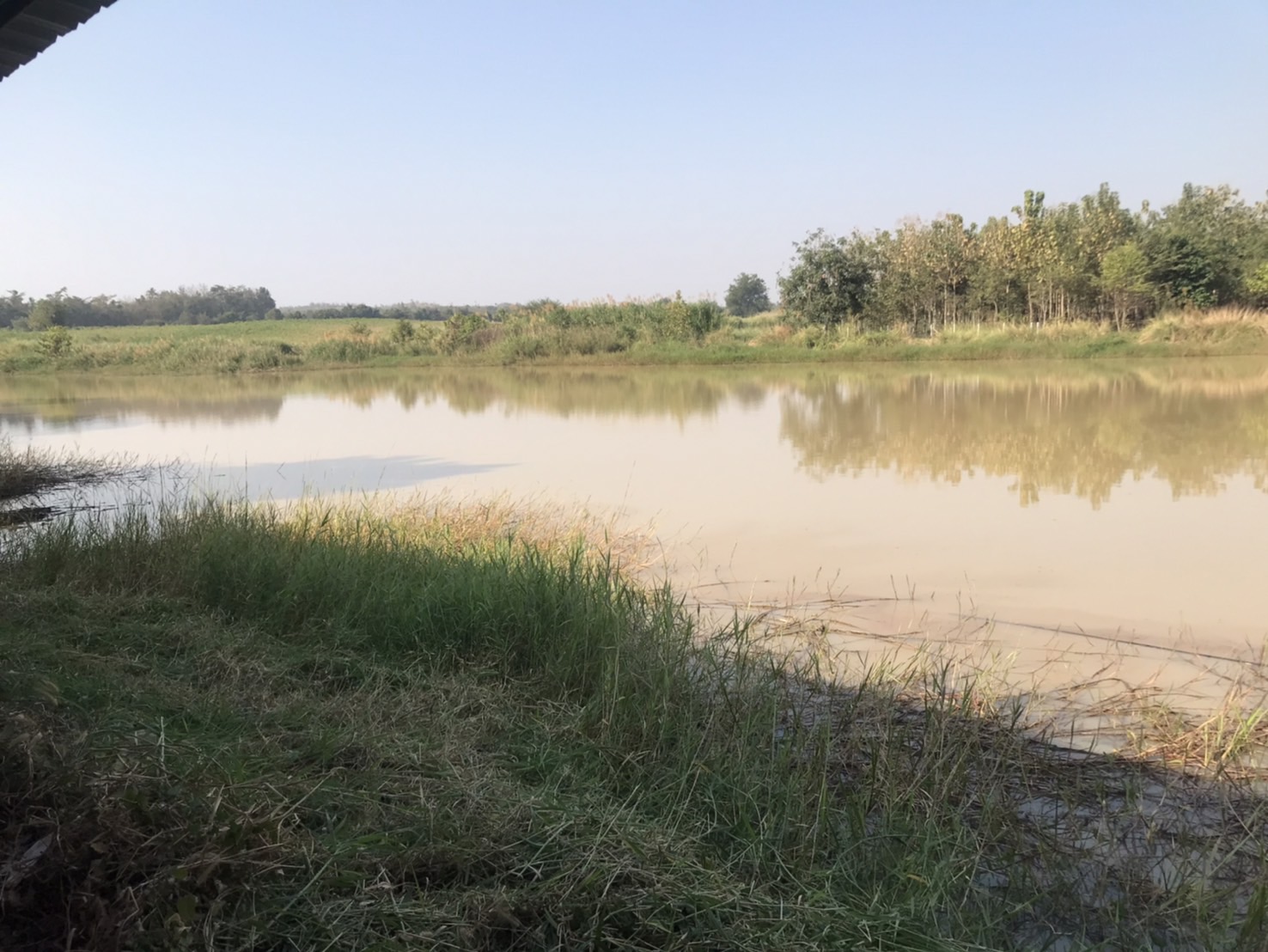 โครงการบริหารจัดการทรัพยากรประมง กิจกรรมบริหารจัดการทรัพยากรประมงน้ำจืด การเพิ่มผลผลิตสัตว์น้ำในแหล่งน้ำชุมชนเพื่อเพิ่มรายได้และลดค่าครองชีพของประชาชน ประจำปีงบประมาณ 2568