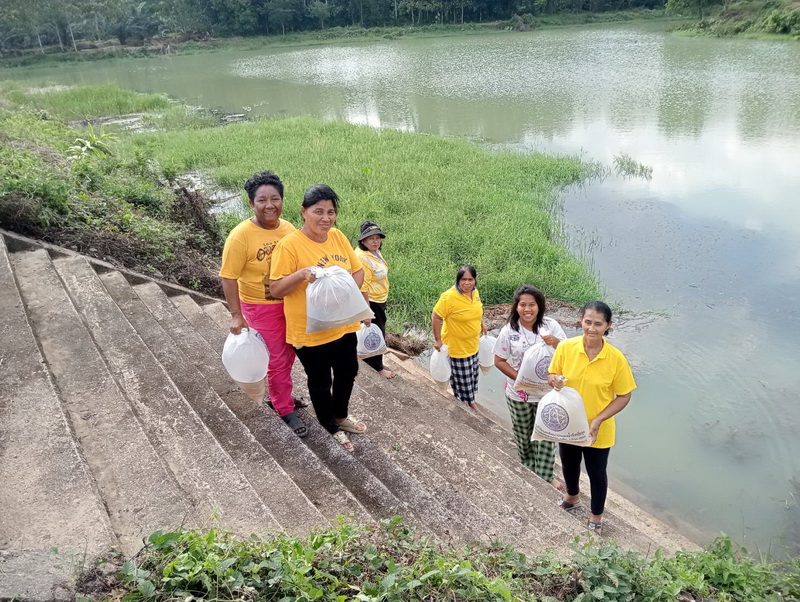 สนับสนุนพันธุ์ปลาเพื่อปล่อยลงสู่คลองห้วยไทร อ.ศรีนครินทร์ จ.พัทลุง..คลิก
