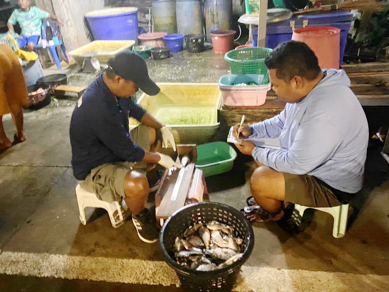 ดำเนินการประเมินสภาวะทรัพยากรสัตว์น้ำ ในพื้นที่ทะเลน้อยจังหวัดพัทลุง