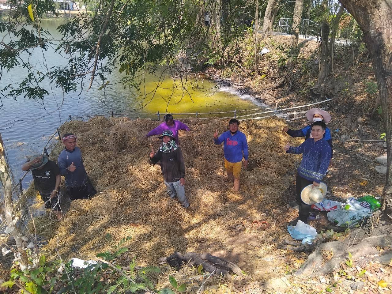 สนง.ประมงจังหวัดหนองบัวลำภู ฝึกอบรมเชิงปฎิบัติการ โครงการเพิ่มประสิทธิภาพการเกษตรมูลค่าสูง สู่เกษตรนวัตกรรมชั้นสูง กิจกรรม ส่งเสริมการเพิ่มผลผลิตสัตว์น้ำในแหล่งน้ำชุมชน (ฟางมาปลาโต)