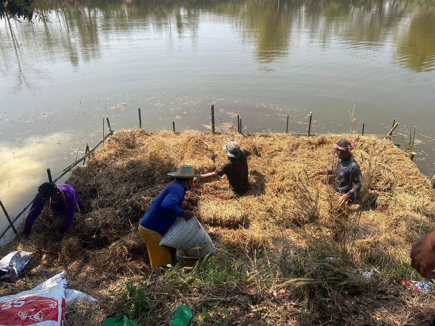 สนง.ประมงจังหวัดหนองบัวลำภู ฝึกอบรมเชิงปฎิบัติการ โครงการเพิ่มประสิทธิภาพการเกษตรมูลค่าสูง สู่เกษตรนวัตกรรมชั้นสูง กิจกรรม ส่งเสริมการเพิ่มผลผลิตสัตว์น้ำในแหล่งน้ำชุมชน (ฟางมาปลาโต)