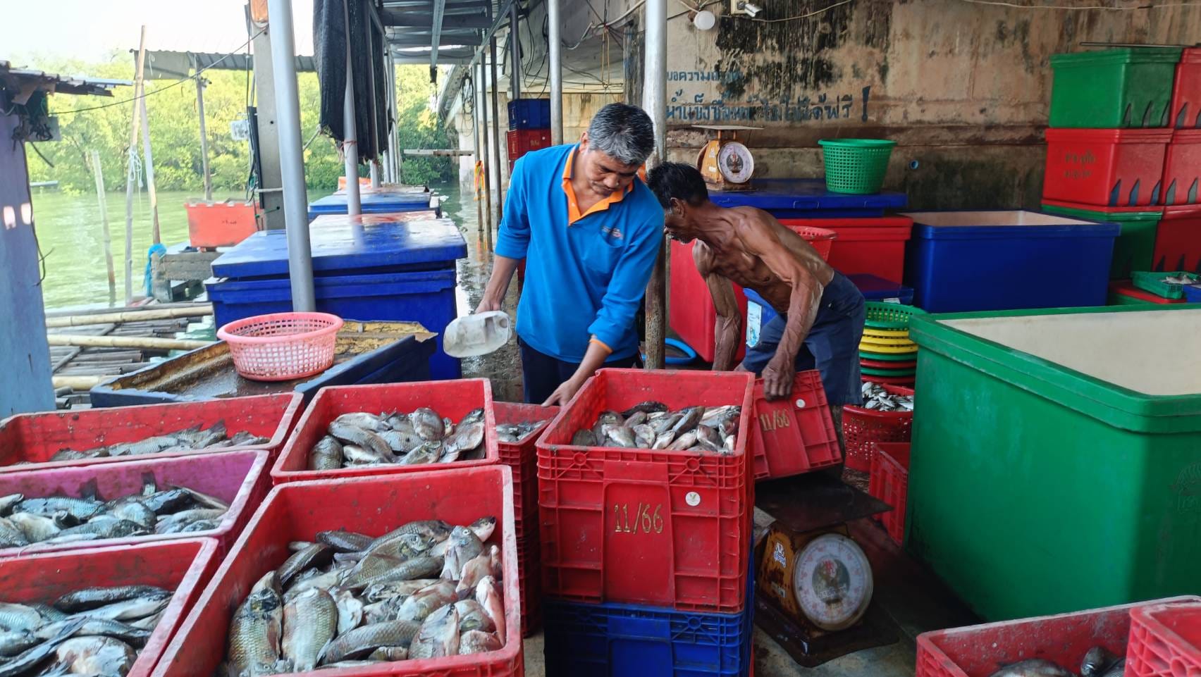 โครงการผลิตน้ำหมักชีวภาพเพื่อเกษตรกรชาวสวนยาง ปีงบประมาณ 2568