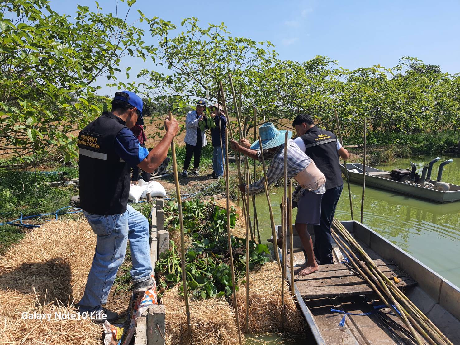วันที่ 10 กุมภาพันธ์ 2568  นายศุภโชค แทรกสุข หัวหน้ากลุ่มบริหารจัดการด้านการประมง รักษาราชการแทนประมงจังหวัดปทุมธานี  นำเจ้าหน้าที่สำนักงานประมงจังหวัดปทุมธานี และประมงอำเภอในพื้นที่ ร่วมสนับสนุนจัดทำแซนวิชปลาแหล่งอาหารปลาธรรมชาติในบ่อเลี้ยงปลาตามกิจกรรม 