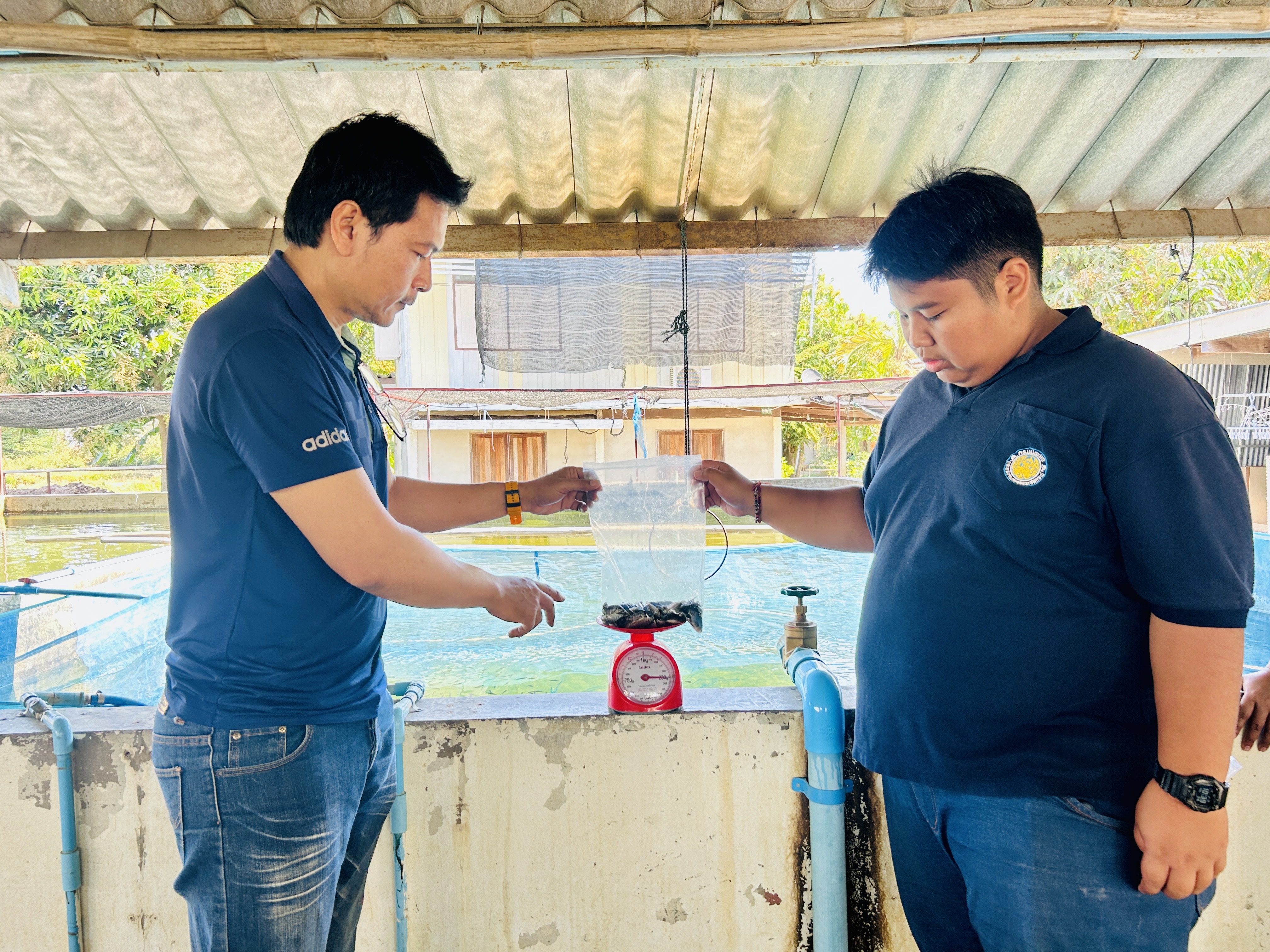 ตรวจประเมินโรงเพาะพันธุ์และอนุบาลสัตว์น้ำจืด ของ ศูนย์วิจัยและพัฒนาการเพาะเลี้ยงสัตว์น้ำจืดมหาสารคาม