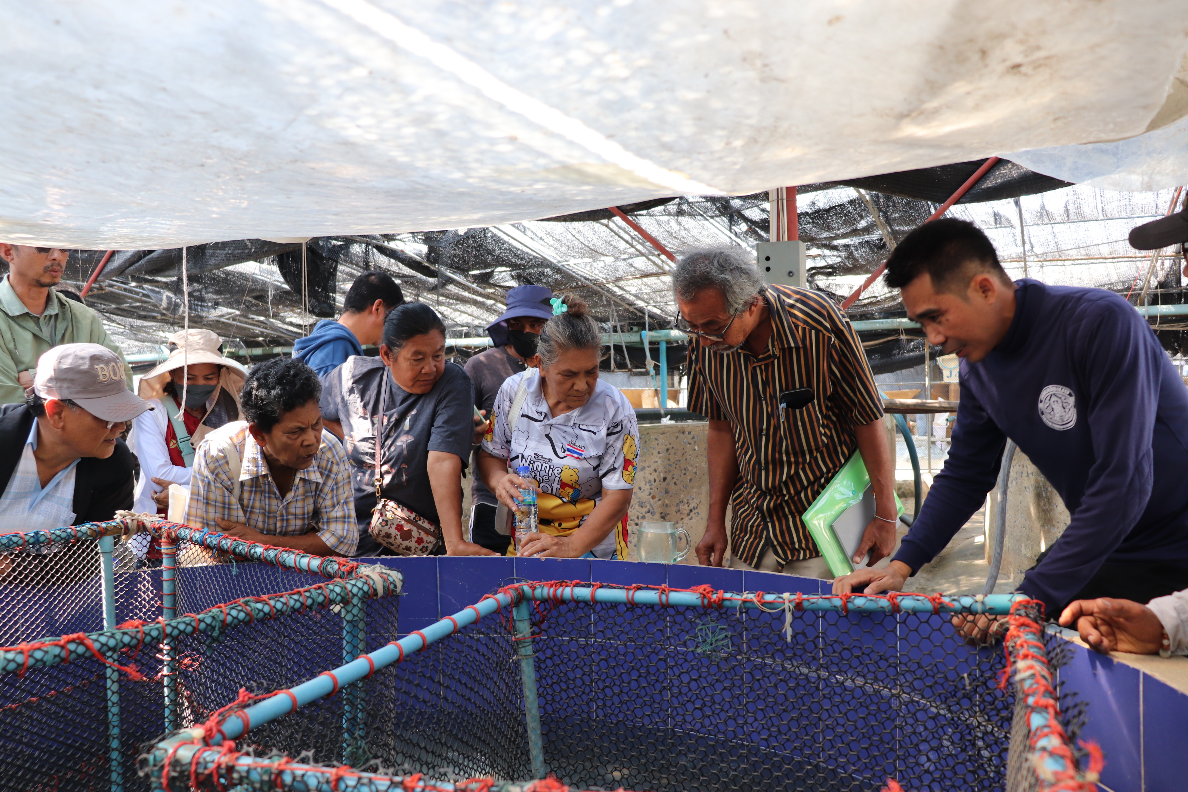จัดฝึกอบรมเกษตรกรจำนวน 30 ราย ในโครงการส่งเสริมอาชีพประมงกิจกรรมพัฒนาศักยภาพเกษตรกรสู่..คลิก