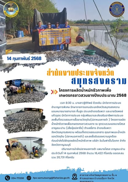 โครงการผลิตน้ำหมักชีวภาพเพื่อเกษตรกรชาวสวนยางปีงบประมาณ 2568