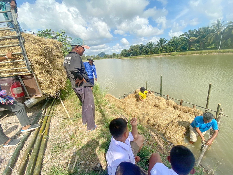 ดำเนินการสร้างอาหารธรรมชาติ ในแหล่งน้ำหานควนถบ อ.เมือง จ.พัทลุง..คลิก