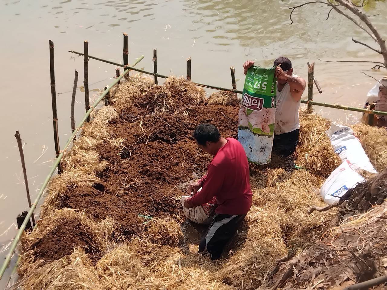 สำนักงานประมงจังหวัดหนองบัวลำภู ฝึกอบรมเชิงปฎิบัติการ โครงการเพิ่มประสิทธิภาพการเกษตรมูลค่าสูง สู่เกษตรนวัตกรรมชั้นสูง กิจกรรม ส่งเสริมการเพิ่มผลผลิตสัตว์น้ำในแหล่งน้ำชุมชน (ฟางมาปลาโต)