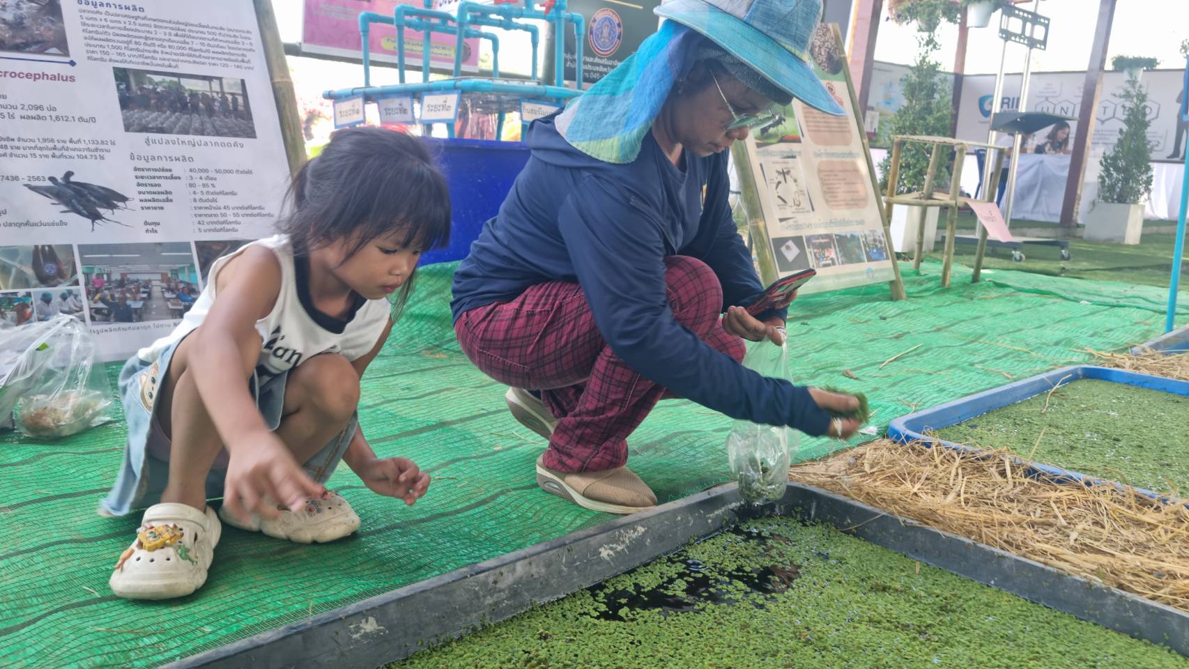 ประมงอุบลฯ จัดแสดงนิทรรศการความรู้ด้านการประมง งานเกษตรอีสานใต้ ครั้งที่ 16 ณ มหาวิทยาลัยอุบลราชธานี