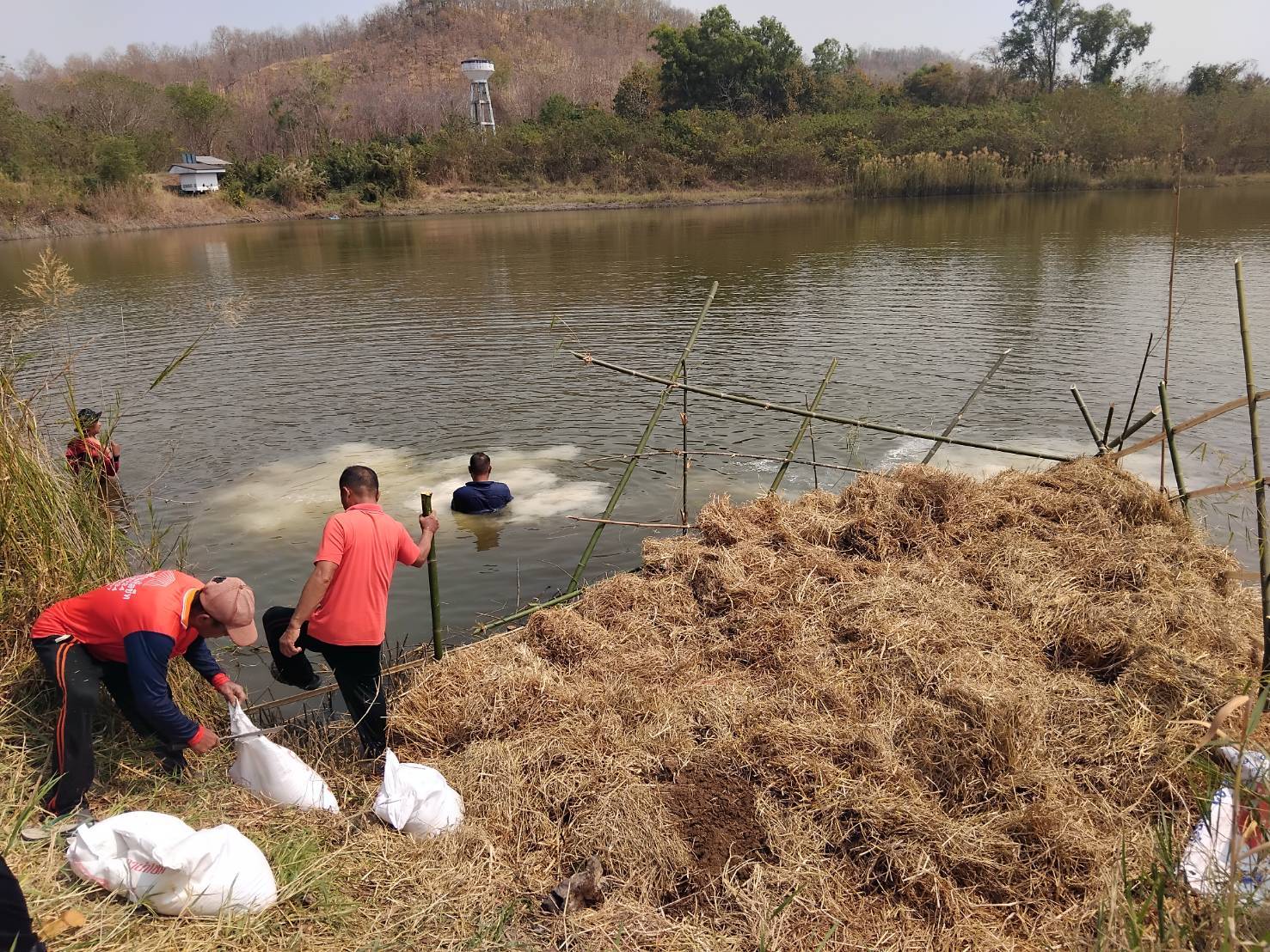 สำนักงานประมงจังหวัดหนองบัวลำภู ฝึกอบรมเชิงปฎิบัติการ โครงการเพิ่มประสิทธิภาพการเกษตรมูลค่าสูง สู่เกษตรนวัตกรรมชั้นสูง กิจกรรม ส่งเสริมการเพิ่มผลผลิตสัตว์น้ำในแหล่งน้ำชุมชน (ฟางมาปลาโต)