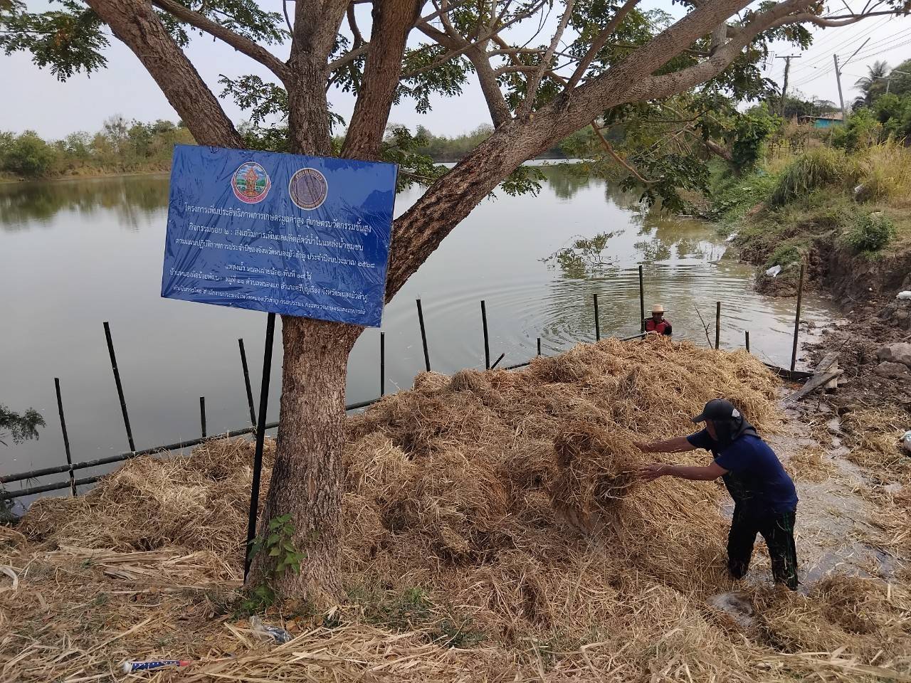 สำนักงานประมงจังหวัดหนองบัวลำภู ฝึกอบรมเชิงปฎิบัติการ โครงการเพิ่มประสิทธิภาพการเกษตรมูลค่าสูง สู่เกษตรนวัตกรรมชั้นสูง กิจกรรม ส่งเสริมการเพิ่มผลผลิตสัตว์น้ำในแหล่งน้ำชุมชน (ฟางมาปลาโต)
