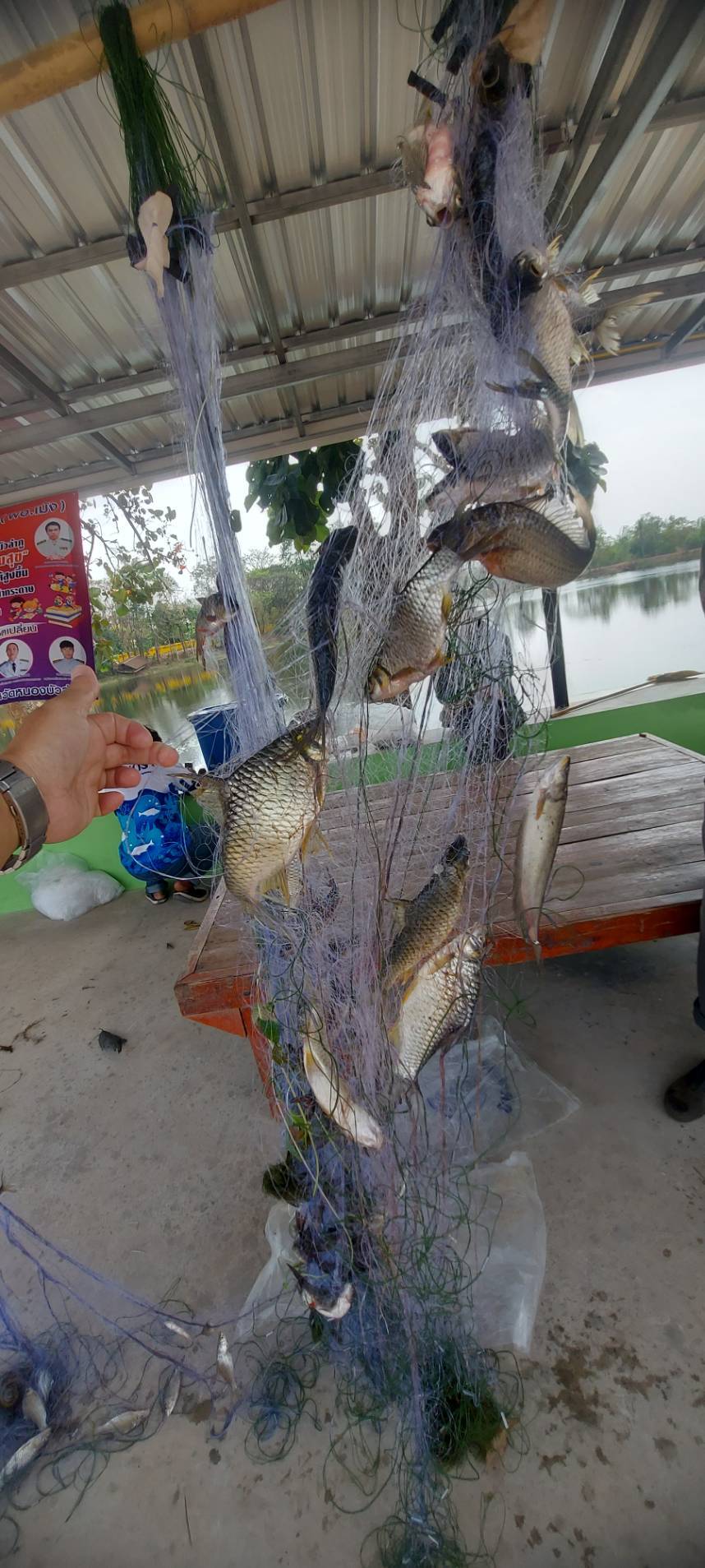 สำนักงานประมงจังหวัดหนองบัวลำภู ร่วมประเมินปริมาณสัตว์น้ำต่อหน่วยลงประมง (CPUE) 