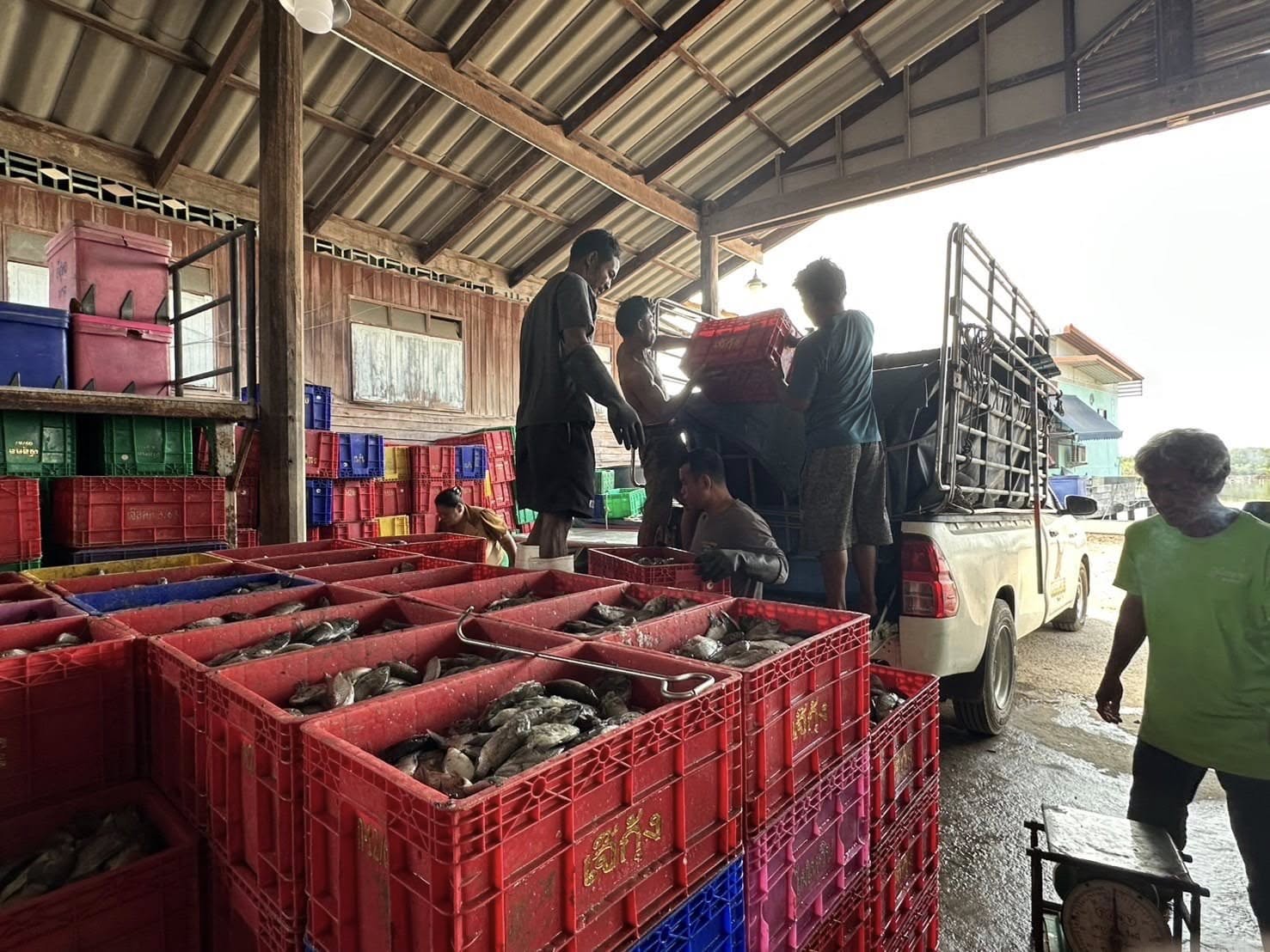 โครงการผลิตน้ำหมักชีวภาพเพื่อเกษตรกรชาวสวนยางปีงบประมาณ 2568