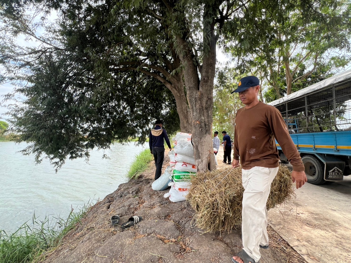 ร่วมสร้างแหล่งอาหารธรรมชาติ 4 แหล่งน้ำในอำเภอไชโย เพื่อเป็นการเตรียมความพร้อมของแหล่งน้ำก่อนปล่อยพันธุ์สัตว์น้ำตามโครงการบริหารจัดการทรัพยากรประมง  >>..คลิก