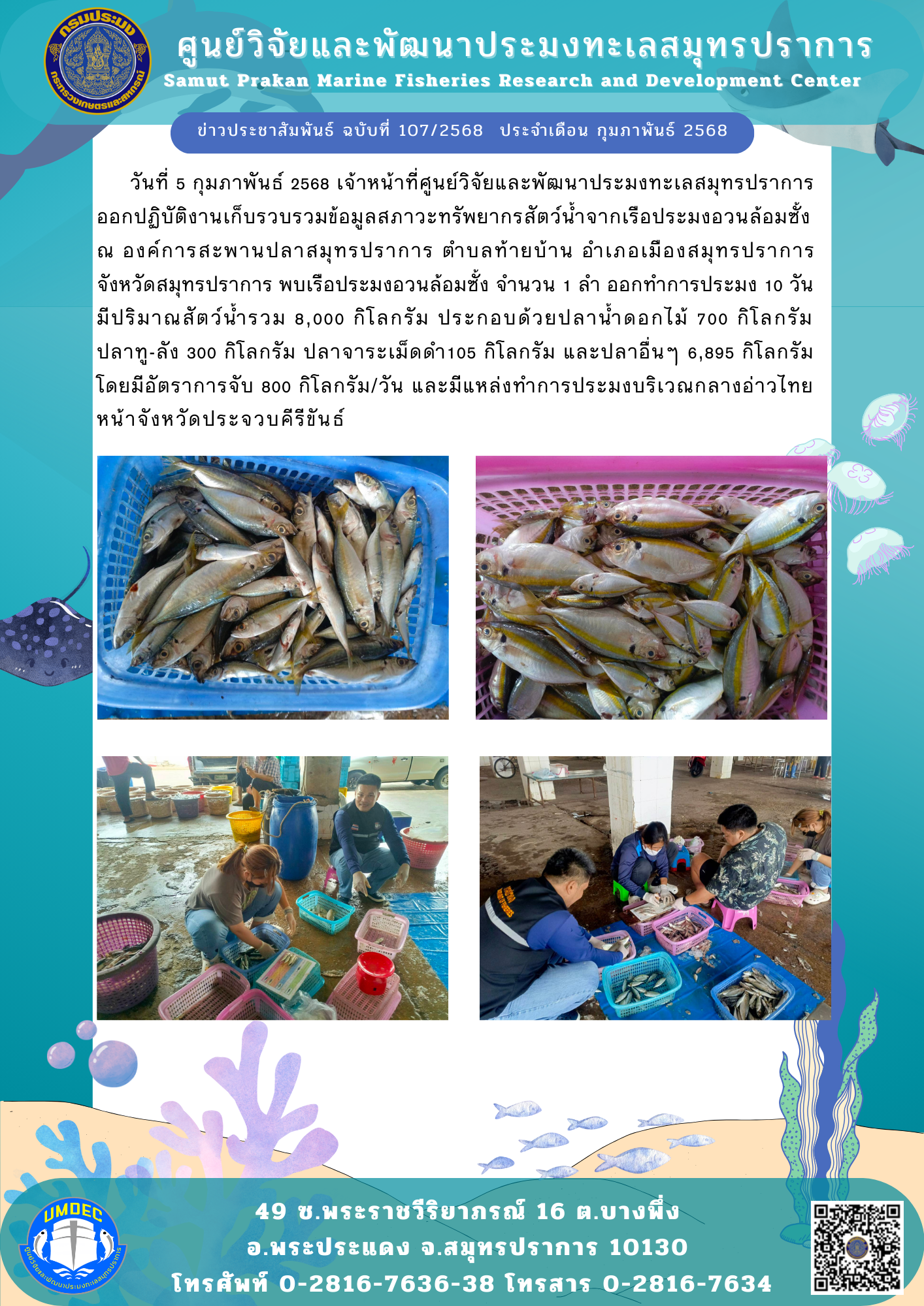 เจ้าหน้าที่ศูนย์วิจัยและพัฒนาประมงทะเลสมุทรปราการ ออกปฏิบัติงานเก็บรวบรวมข้อมูลสภาวะทรัพยากรสัตว์น้ำจากเรือประมงอวนล้อมซั้ง..คลิก