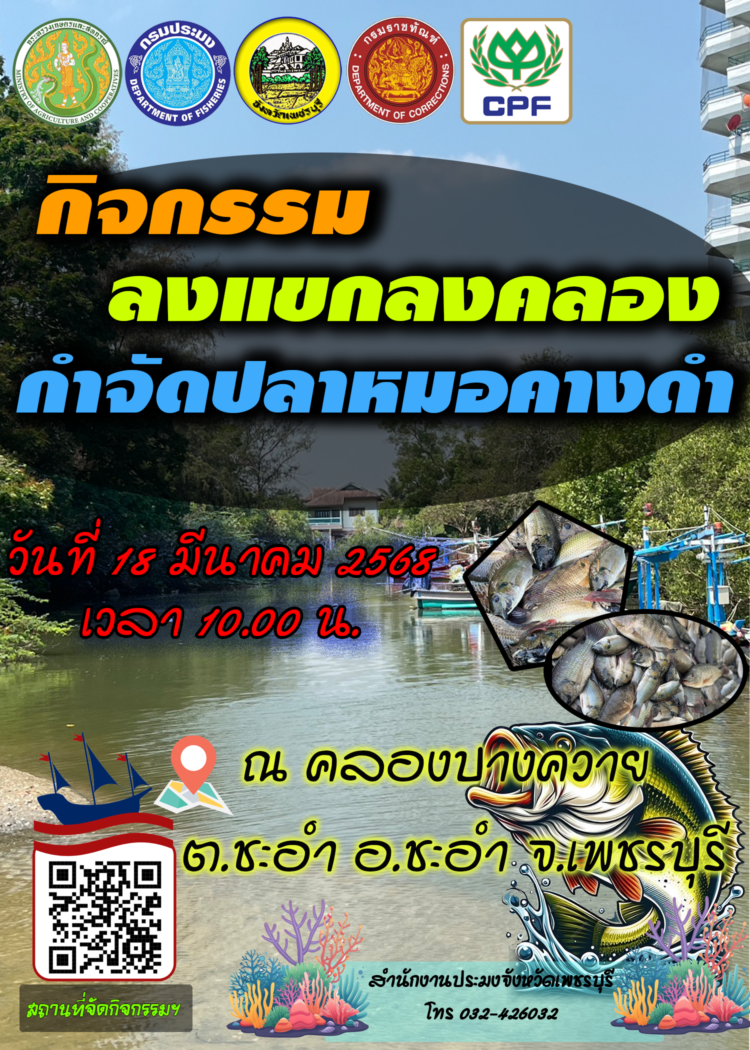 สำนักงานประมงจังหวัดเพชรบุรี กำหนดจัดกิจกรรมลงแขกลงคลองกำจัดปลาหมอคางดำในพื้นที่คลองบางควาย..คลิก