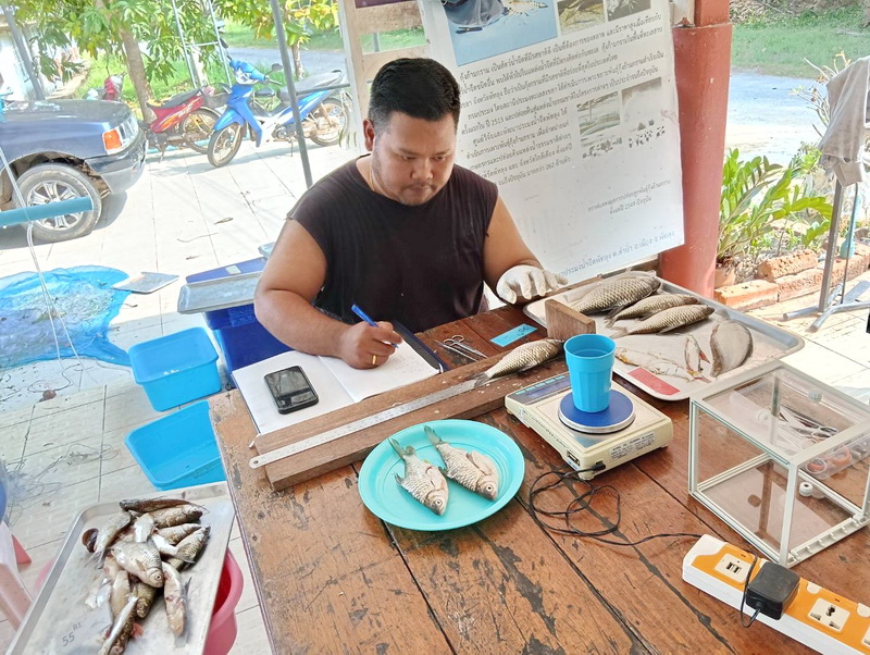 ดำเนินการประเมินสถานภาพทรัพยากรสัตว์น้ำในทะเลน้อย จังหวัดพัทลุง