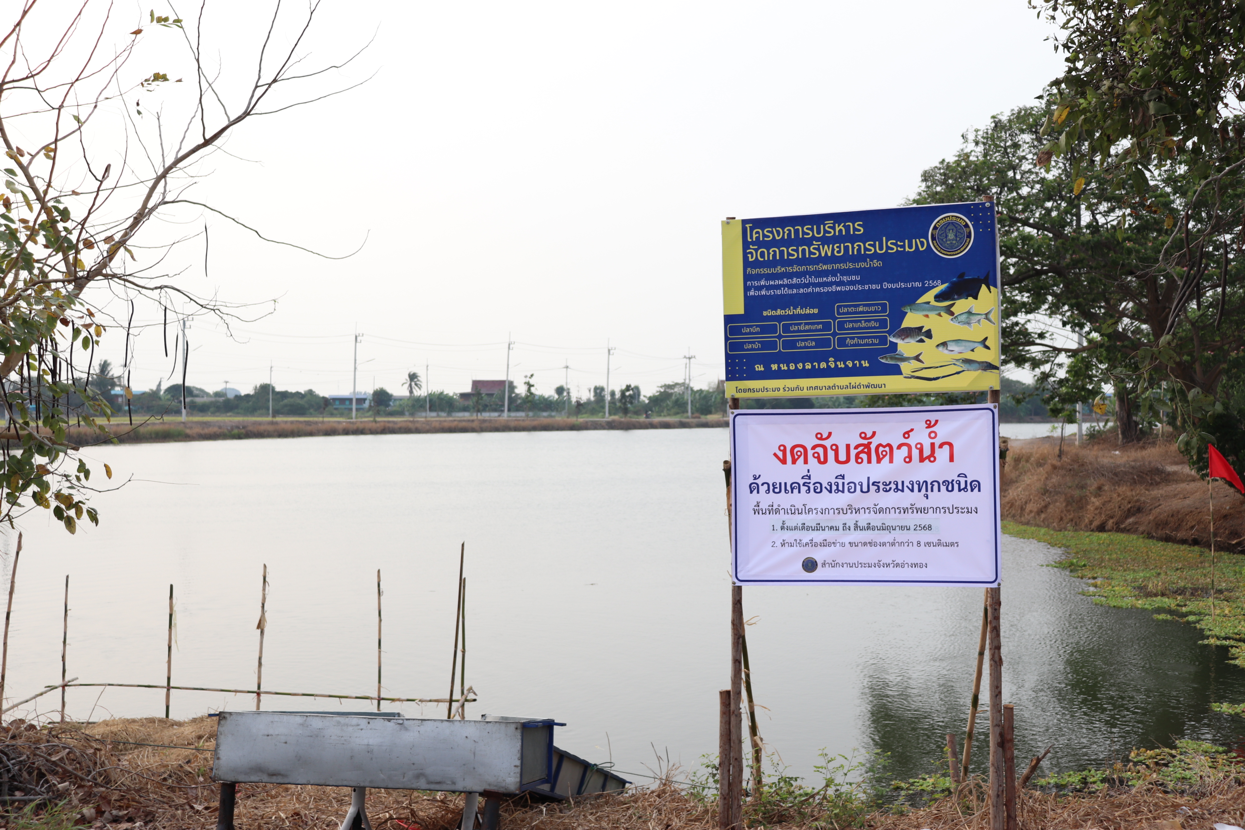 ร่วมปล่อยพันธุ์สัตว์น้ำเศรษฐกิจ 6 ชนิด ณ หนองลาดจินจานและหนองเพิกไพร ในพื้นที่อำเภอวิเศษขัยชาญ