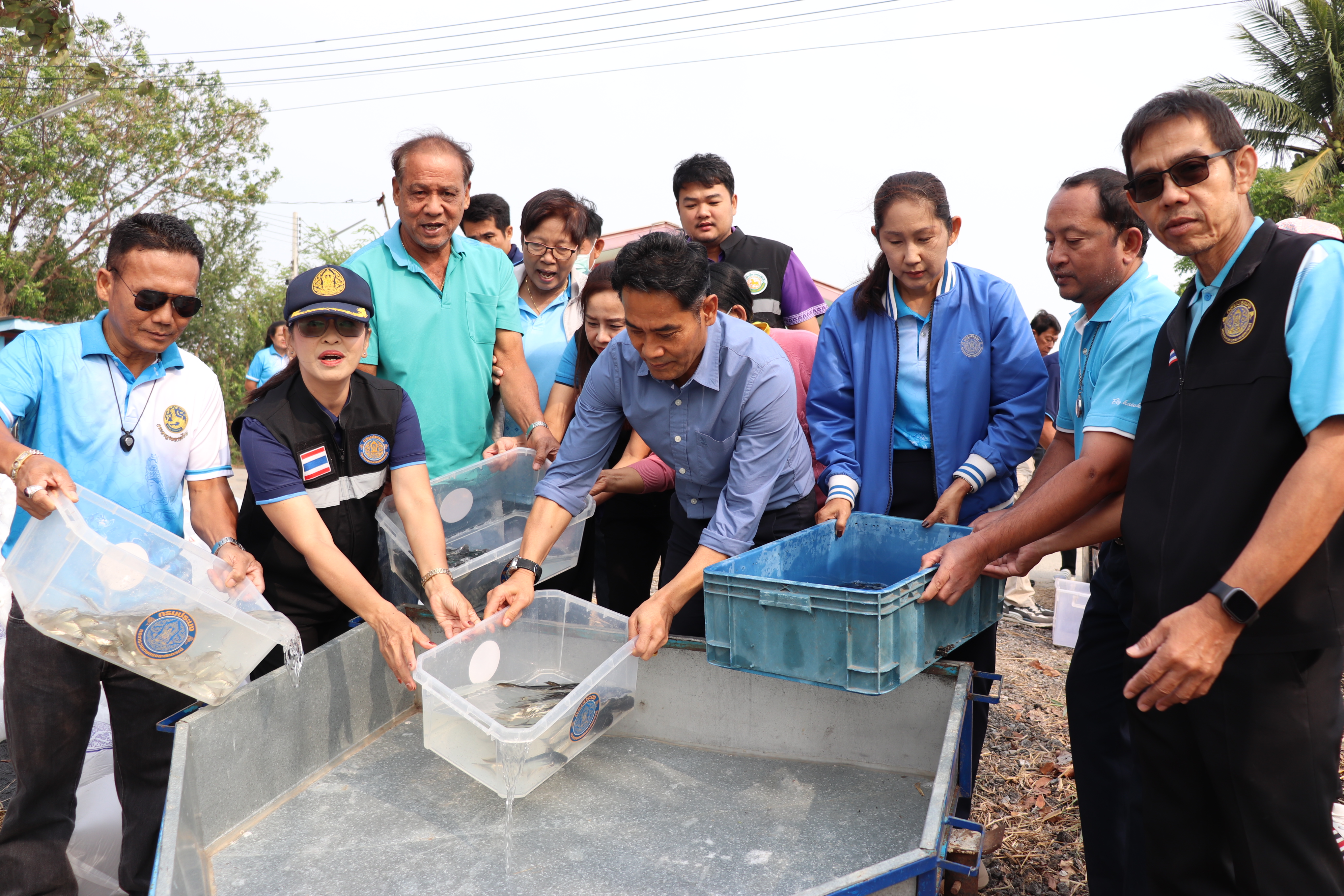 ร่วมปล่อยพันธุ์สัตว์น้ำเศรษฐกิจ 6 ชนิด ณ หนองลาดจินจานและหนองเพิกไพร ในพื้นที่อำเภอวิเศษขัยชาญ