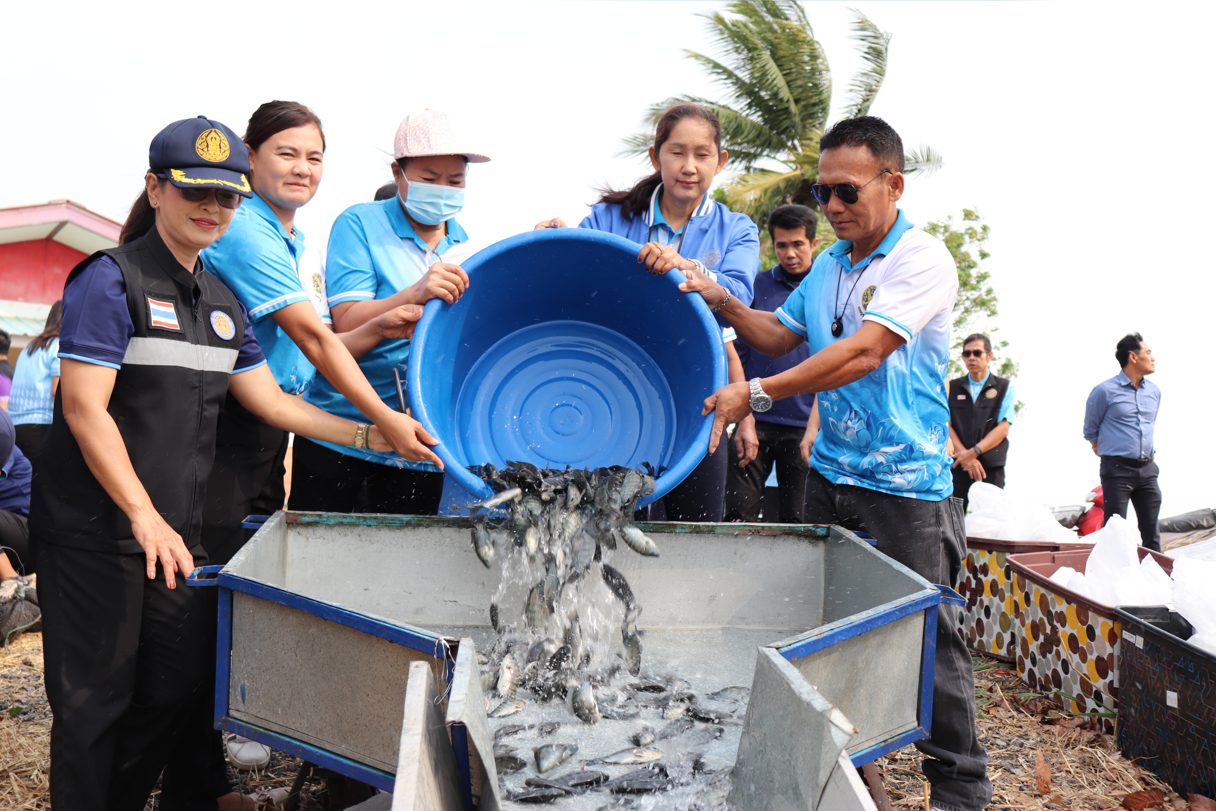 ร่วมปล่อยพันธุ์สัตว์น้ำเศรษฐกิจ 6 ชนิด ณ หนองลาดจินจานและหนองเพิกไพร ในพื้นที่อำเภอวิเศษขัยชาญ