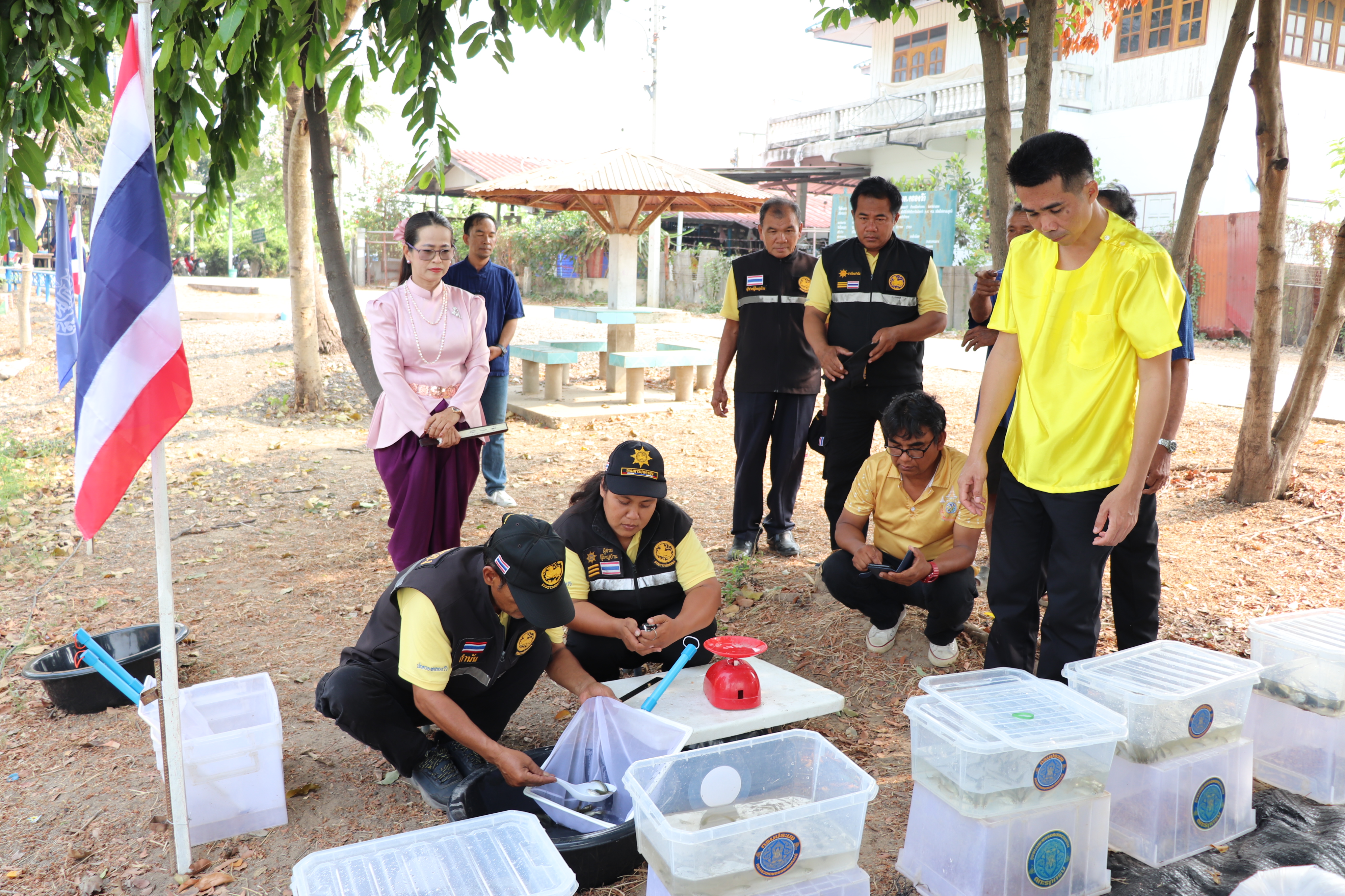 ร่วมปล่อยพันธุ์สัตว์น้ำเศรษฐกิจ 6 ชนิด ณ บึงกลีบเมฆ ในพื้นที่อำเภอเมืองอ่างทอง