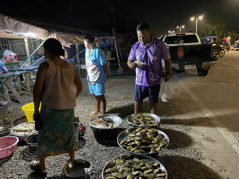 ดำเนินการสำรวจตัวอย่างปลาน้ำจืดมีไข่ ในพื้นที่ทะเลน้อยจังหวัดพัทลุง