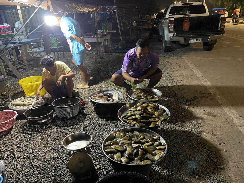 ดำเนินการสำรวจตัวอย่างปลาน้ำจืดมีไข่ ในพื้นที่ทะเลน้อยจังหวัดพัทลุง