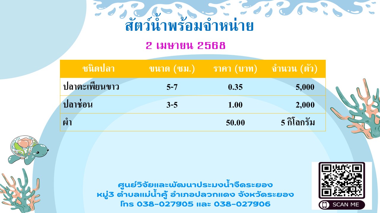 สัตว์น้ำพร้อมจำหน่าย วันที่ 2 เมษายน 2568