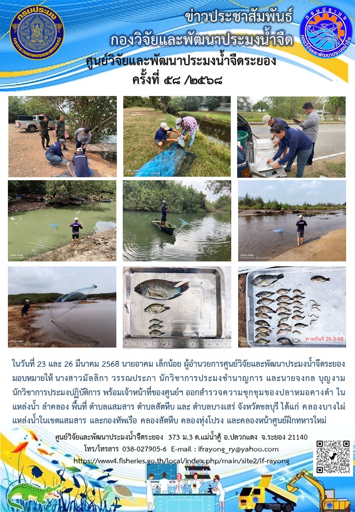 ข่าวประชาสัมพันธ์กิจกรรมฉบับที่ 58/2568