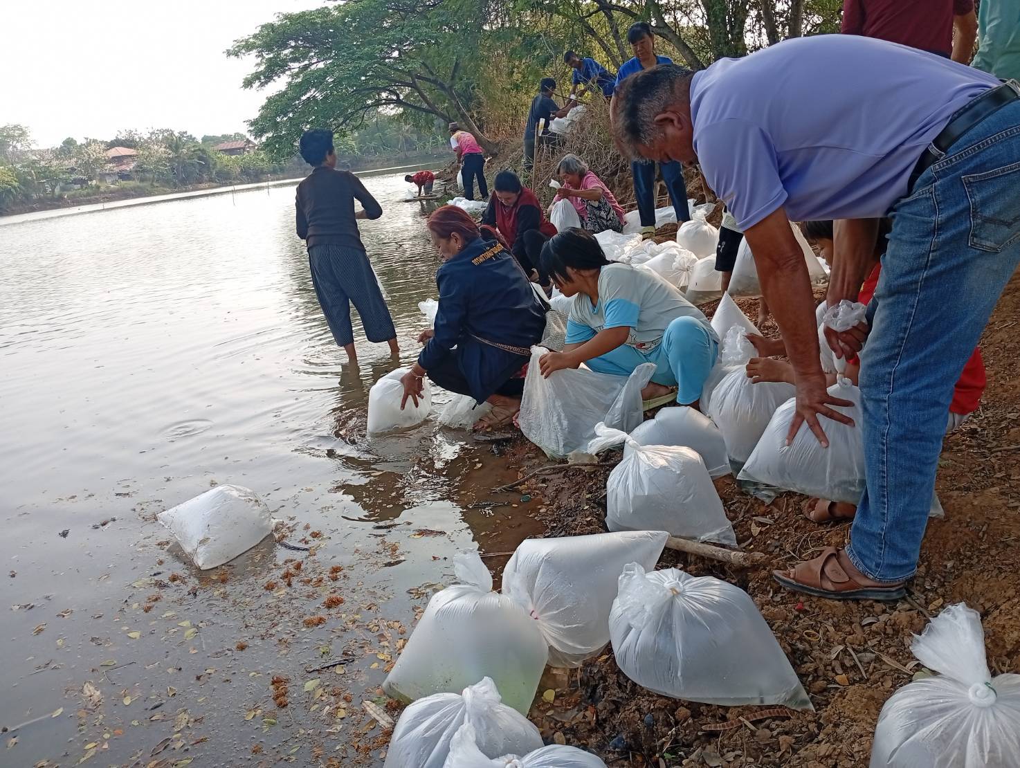 ส่งมอบพันธุ์สัตว์น้ำโครงการเพิ่มประสิทธิภาพการเกษตรมูลค่าสูง สู่เกษตรนวัตกรรมชั้นสูง กิจกรรม ส่งเสริมการเพิ่มผลผลิตสัตว์น้ำในแหล่งน้ำชุมชน ปีงบประมาณ 2568         
