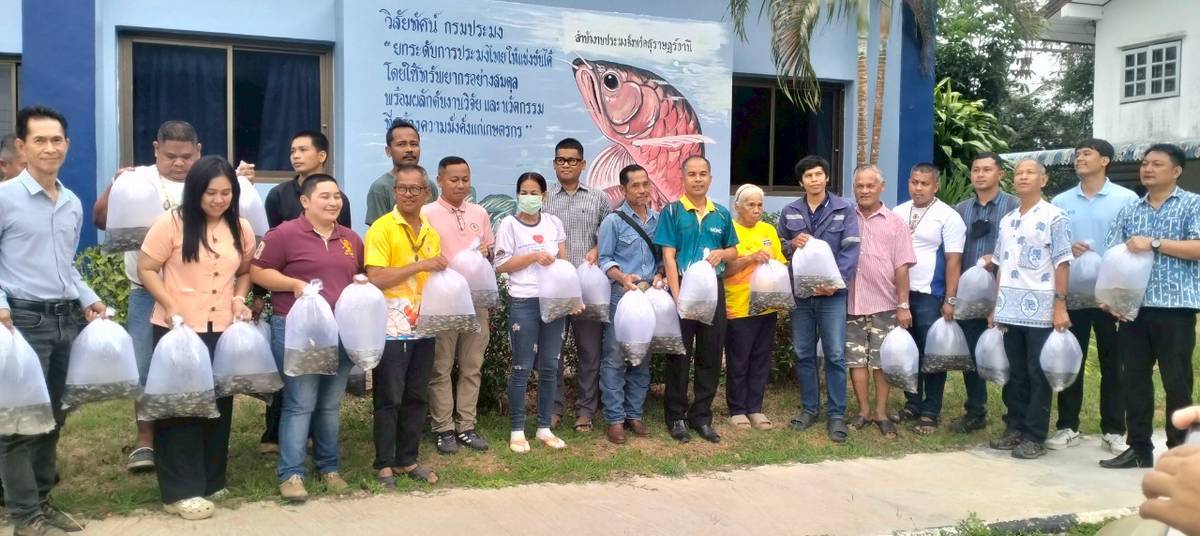 กิจกรรมมอบพันธุ์ปลานิล