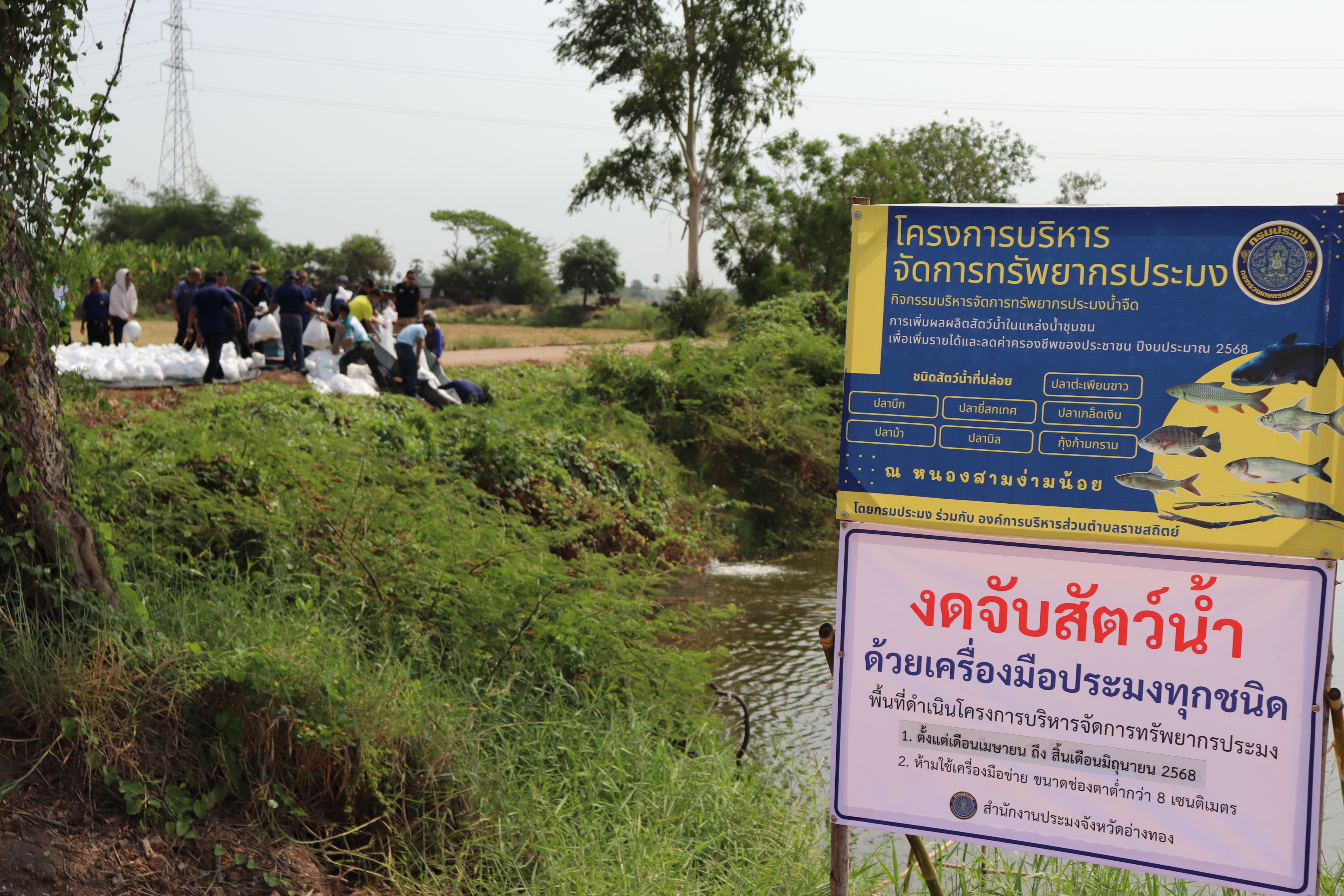 ร่วมปล่อยพันธุ์สัตว์น้ำเศรษฐกิจ 6 ชนิด ณ หนองคันเหลาและหนองสามง่ามน้อย ในพื้นที่อำเภอไชโย