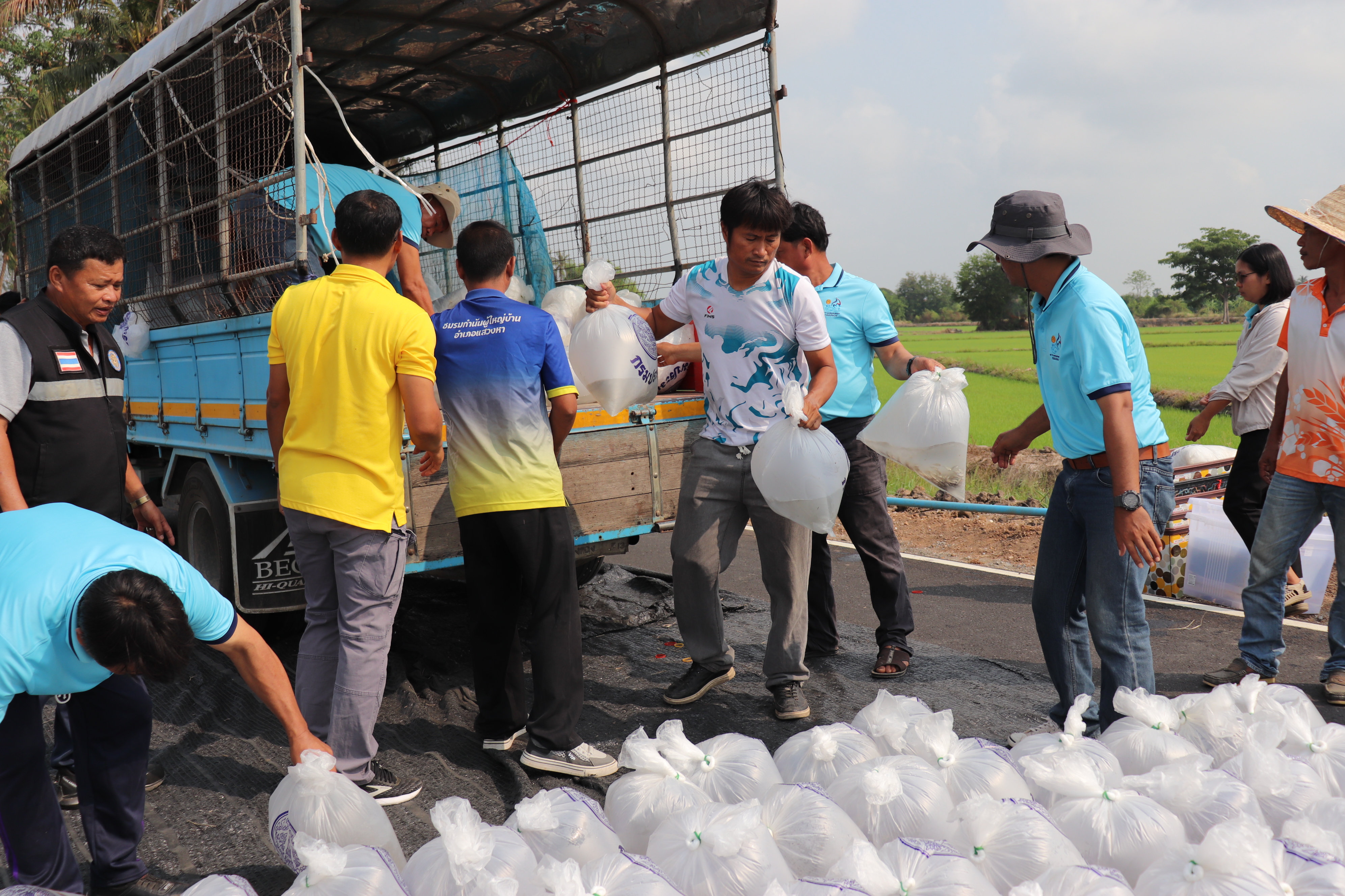 ร่วมปล่อยพันธุ์สัตว์น้ำเศรษฐกิจ 6 ชนิด ณ หนองลาดเค้าและหนองวังนาค ในพื้นที่อำเภอแสวงหา