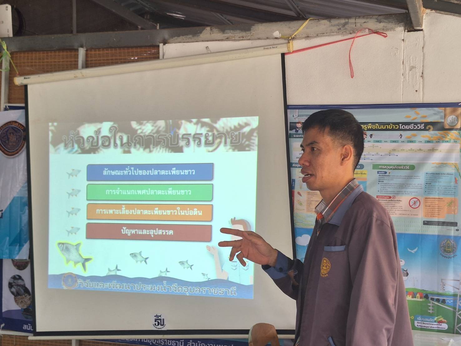 ประมงอุบลฯ  จัดฝึกอบรม ภายใต้โครงการส่งเสริมการเลี้ยงปลาตะเพียนขาวในบ่อดิน งบกลุ่มจังหวัดภาคตะวันออกเฉียงเหนือตอนล่าง 2 ปีงบประมาณ 2568..คลิก