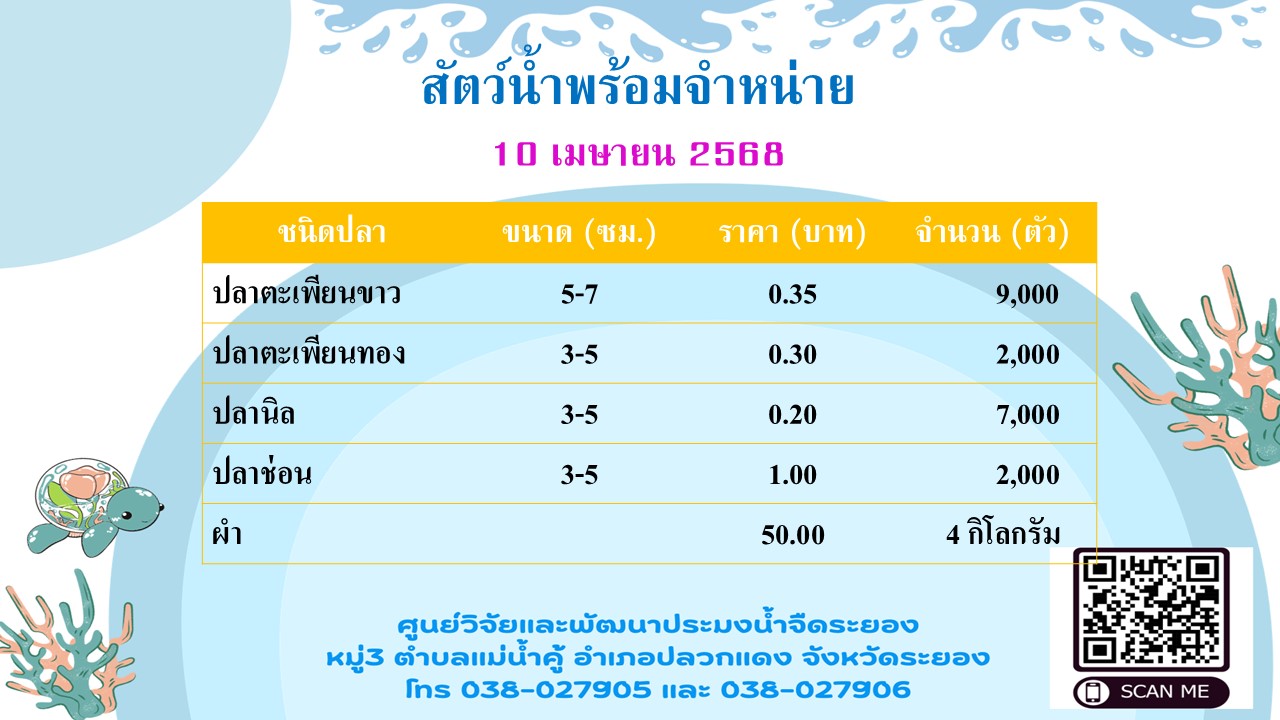 สัตว์น้ำพร้อมจำหน่าย วันที่ 10 เมษายน 2568