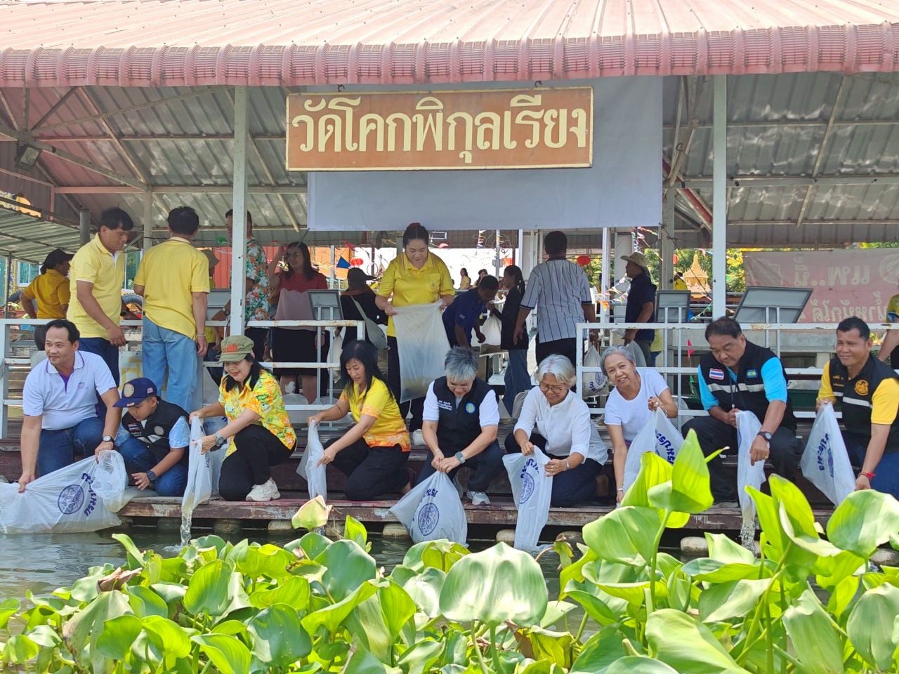 ร่วมปล่อยพันธุ์สัตว์น้ำตามโครงการบริหารจัดการทรัพยากรประมง กิจกรรมฟื้นฟูและอนุรักษ์สัตว์น้ำประจำถิ่น และสัตว์น้ำหายากใกล้สูญพันธุ์..คลิก