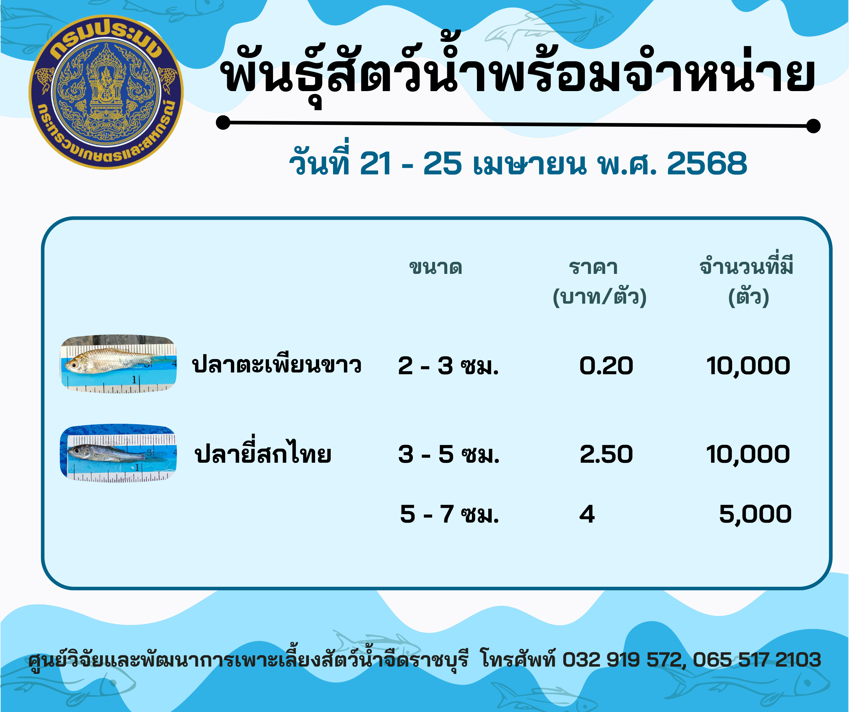 ลูกพันธุ์สัตว์น้ำพร้อมจำหน่ายสัปดาห์นี้ วันที่ 21 - 25 เมษายน พ.ศ. 2568..คลิก