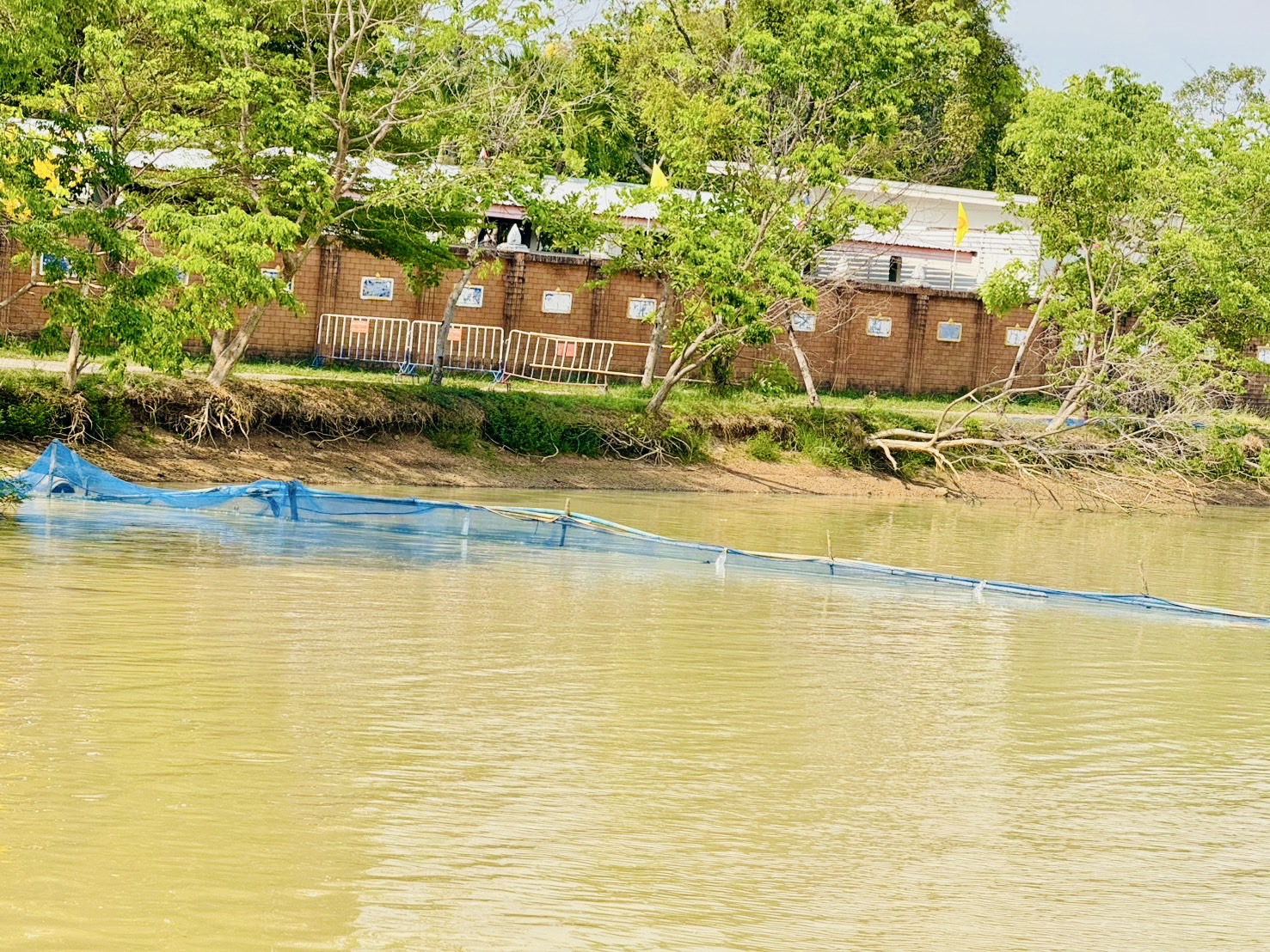 การจัดการพื้นที่ให้เหมาะสม เนื่องจากมีจำนวนพันธุ์สัตว์น้ำที่หนาแน่นเกินไป เพื่อให้ระบบนิเวศในแหล่งน้ำสมบูรณ์..คลิก
