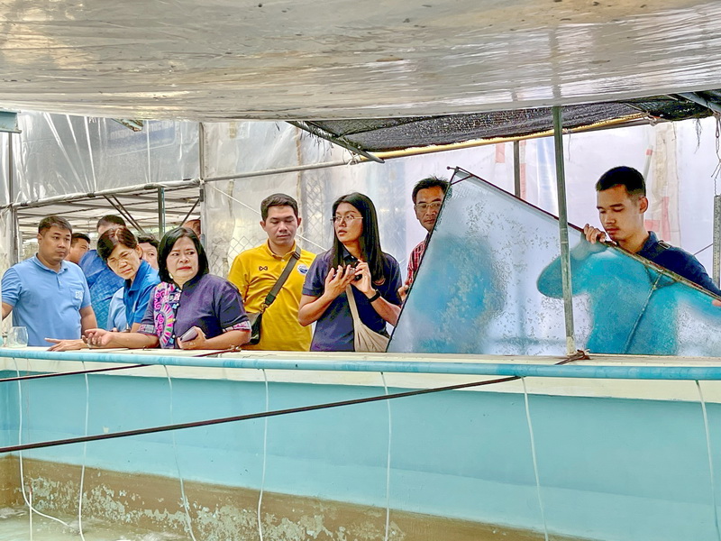 ร่วมอบรม หลักสูตรการอนุบาลปลาชะโอนให้มีประสิทธิภาพสูงโดยการควบคุมอุณหภูมิ..คลิก