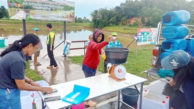 ร่วมตรวจรับและปล่อยพันธุ์กุ้งก้ามกราม ลงแหล่งน้ำทะเลพระ อ.เขาชัยสน จ.พัทลุง..คลิก