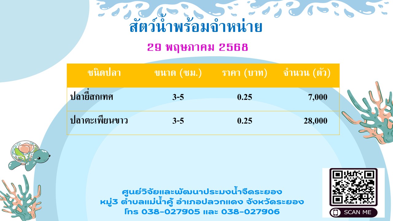 สัตว์น้ำพร้อมจำหน่าย วันที่ 29 พฤษภาคม 2568..คลิก